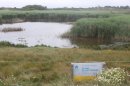 Etang de Gattemare